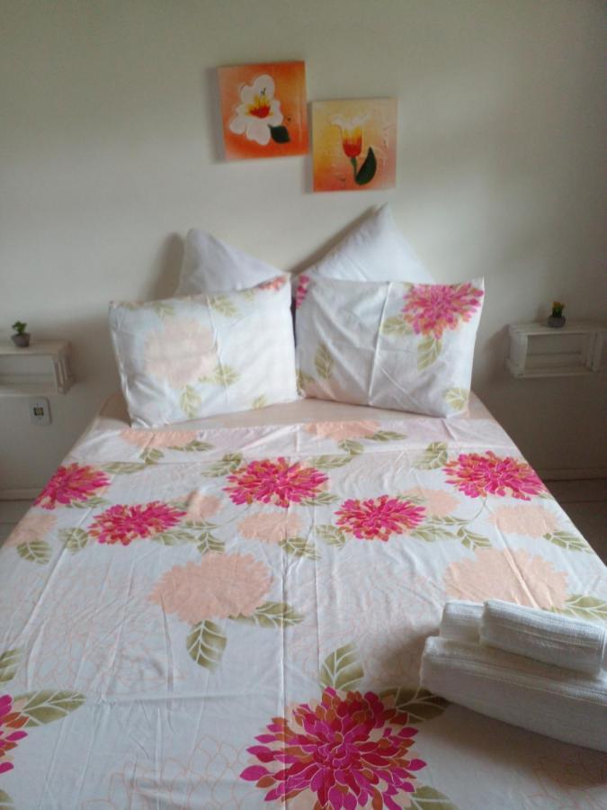 パラチ Dani'S House - Hospedagem Familiar Bed & Breakfast エクステリア 写真